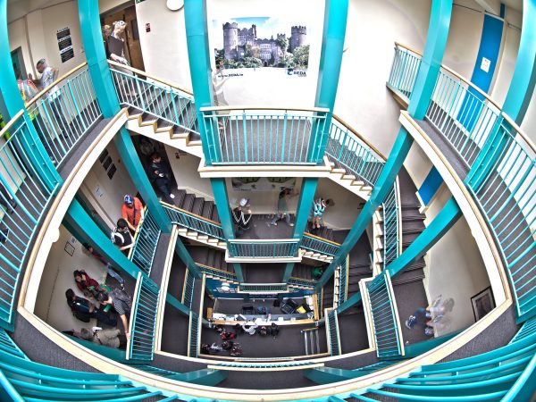 Estudia Ingles en Seda College en Dublin Irlanda - Image 3