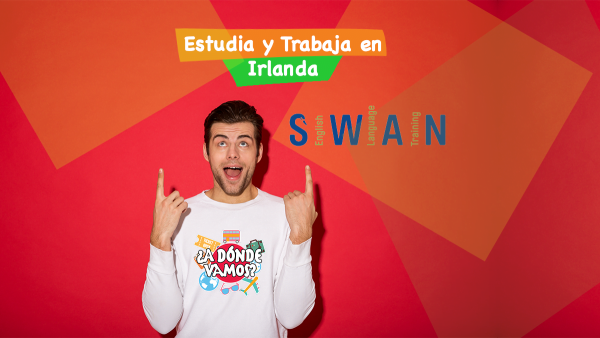 Swan